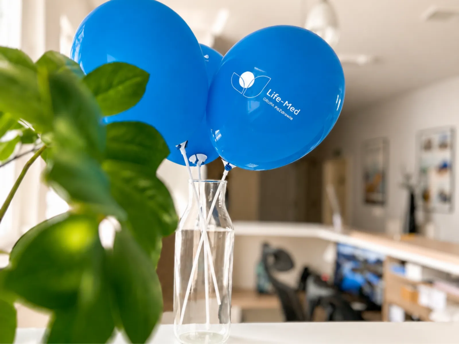 Balony life med poziom